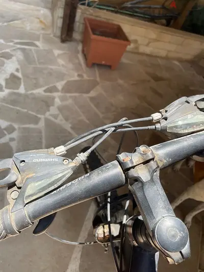Phoenix Bike