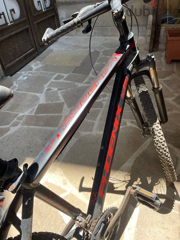 Phoenix Bike 2