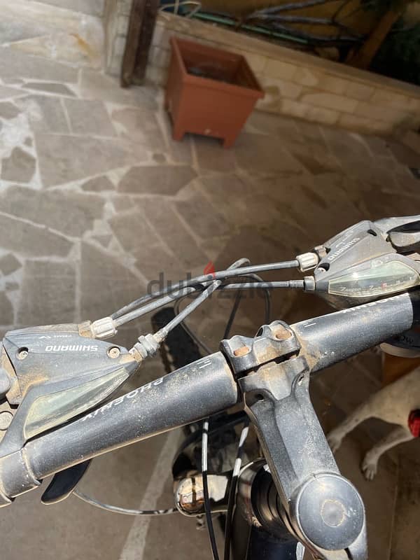 Phoenix Bike 3