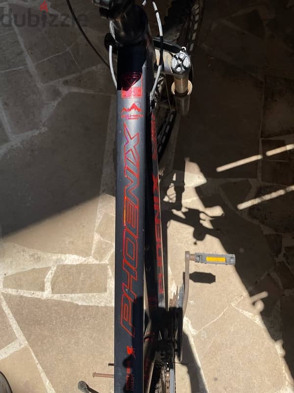 Phoenix Bike 5