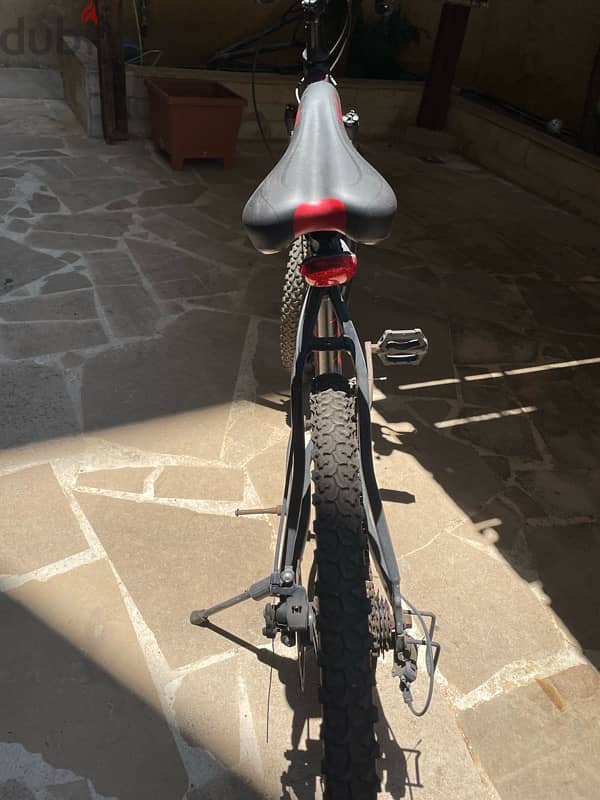 Phoenix Bike 6