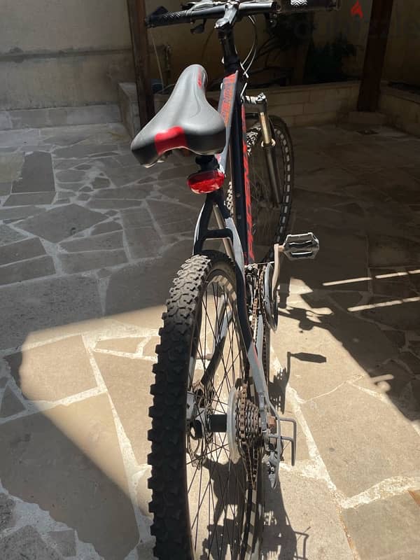 Phoenix Bike 7