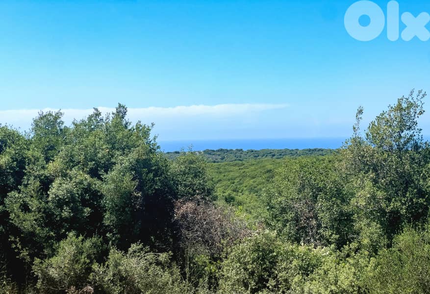 Apartment for sale in Hamat/ View 0