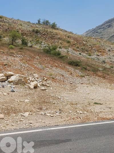 Land for sale facing tannourine cedars forest أرض مشرفة على أرز تنورين