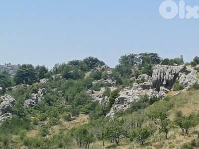 Land for sale facing tannourine cedars forest أرض مشرفة على أرز تنورين