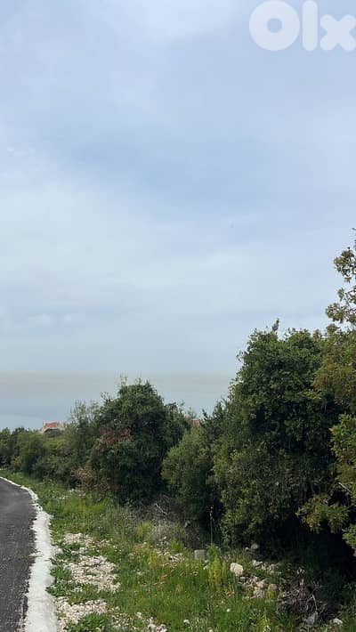 GMN179AA - Land for sale in Thoum - أرض للبيع في تحوم