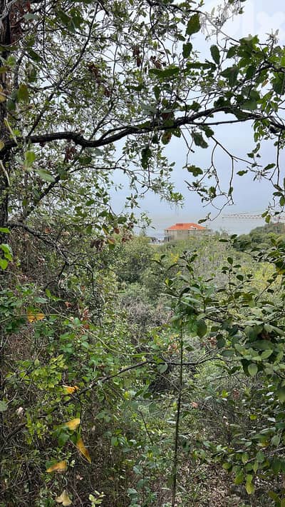 GMN179AA - Land for sale in Thoum - أرض للبيع في تحوم