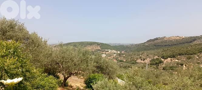 GMB181AA - Land for sale in Chabtin - أرض للبيع في شبطين