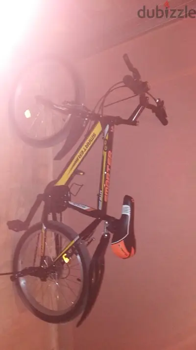 bicycle for sale