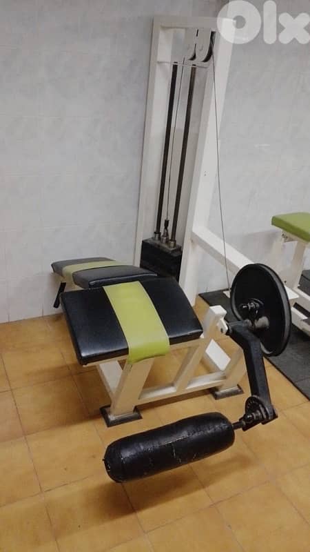 leg curl like new 1