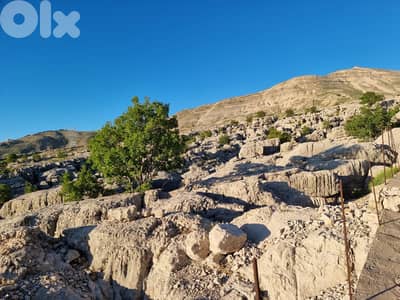 Land for sale in Qanat Bakich أرض للبيع في قناة باكيش