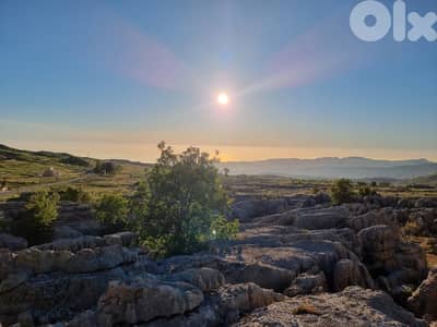 Land for sale in Qanat Bakich أرض للبيع في قناة باكيش