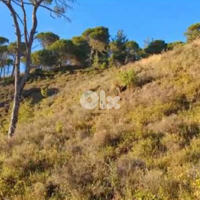 Land for sale in Douar RKR16 أرض للبيع  في دوار