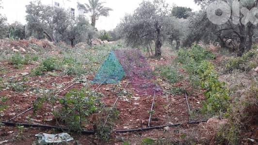 Land 1027m2 +open mountain view for sale in Amchit -أرض للبيع في عمشيت
