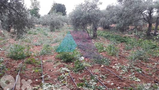 Land 1027m2 +open mountain view for sale in Amchit -أرض للبيع في عمشيت