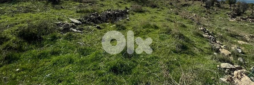 1017 Sqm |Prime Location Land ForSale In Tarchich ارض للبيع في ترشيش