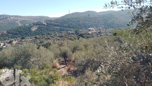 Land for sale in Aabeidat