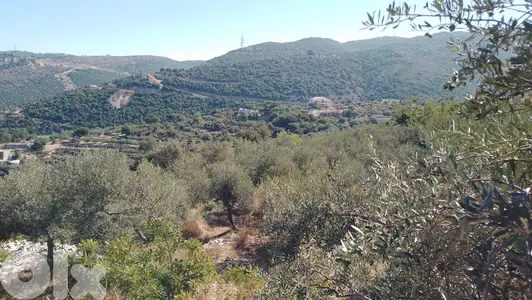 Land for sale in Aabeidat