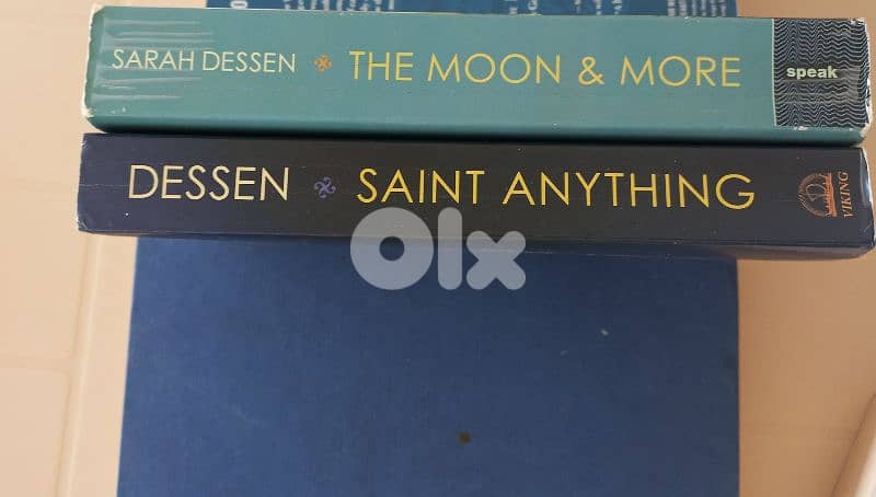 Sarah Dessen's Novels 0