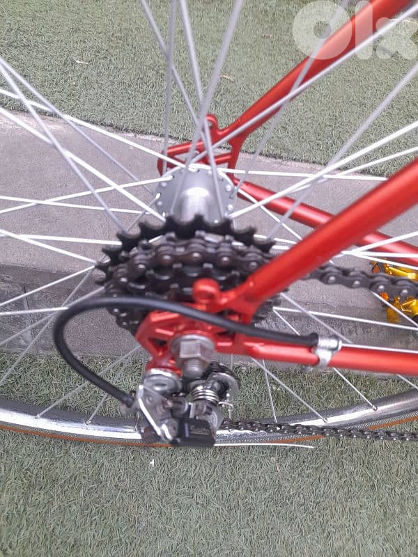 home bike 10