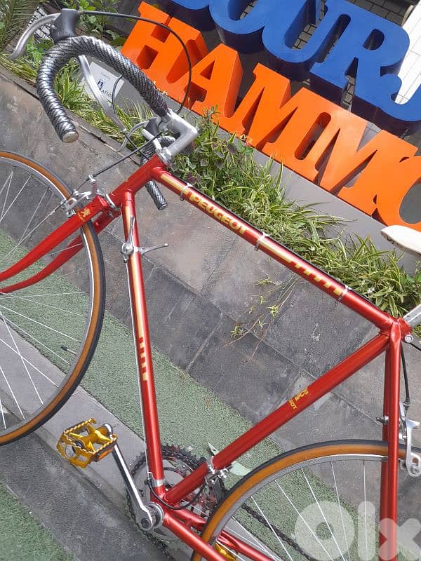 home bike 12