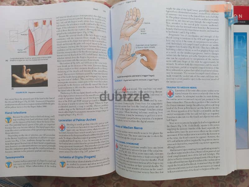 Moore Clinically Oriented Anatomy 2