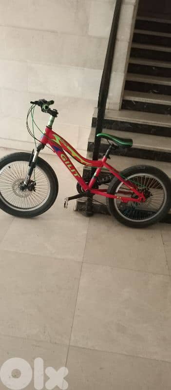 Bicycle 1