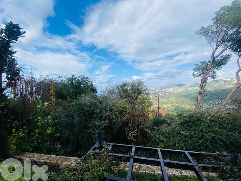 Villa for salee in Freikeh/ View/ Garden 0