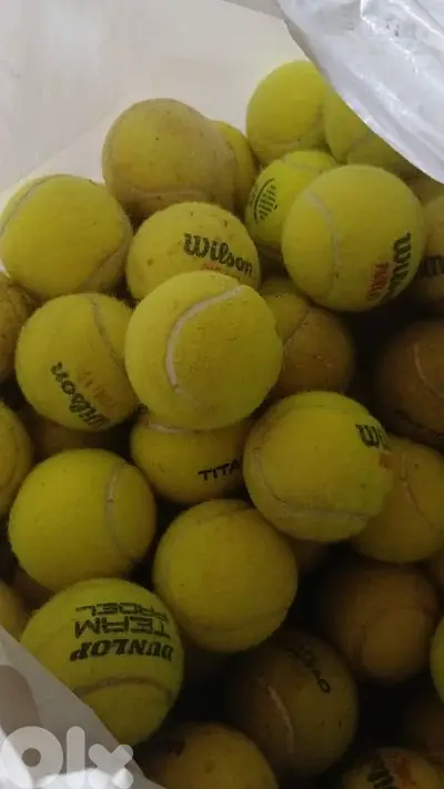 طابه اصليه ب ٣٣ الف