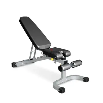 bench adjustable and leg extension/curve