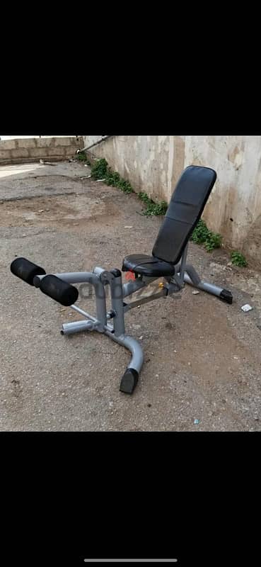 bench adjustable and leg extension/curve 1