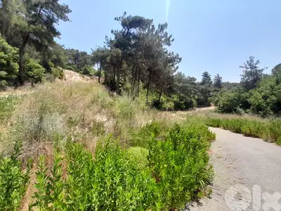 Land for sale in Daher Sawan | Mountain view | 1545 Sqm ضهر الصوان
