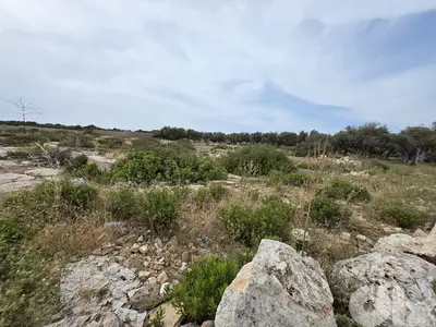 RWB151CC - Land for sale in Anfeh Koura