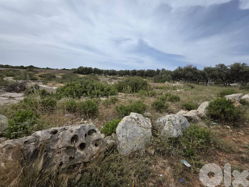 RWB151CC - Land for sale in Anfeh Koura 1