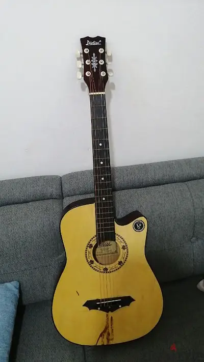 Acoustic guitar