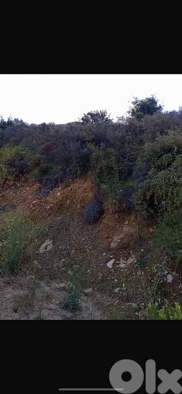 أرض للبيع في كفرعميه الشوفland for sale in krarmay shouf