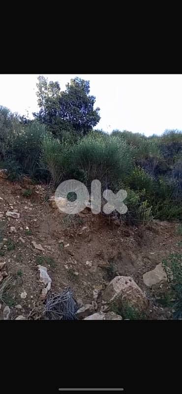 أرض للبيع في كفرعميه الشوفland for sale in krarmay shouf