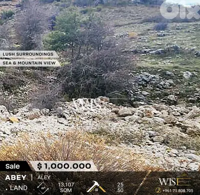 Prime 13,107 SQM Land for SALE in Abey - Aley !
