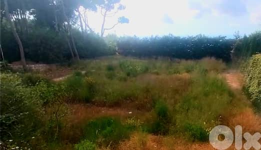 Land for sale in Montana/ Open View