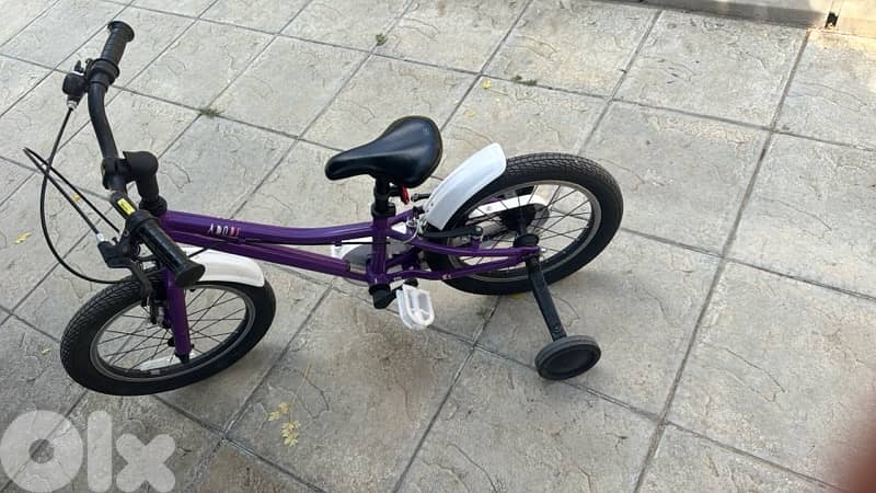 Giant bike 12 inch 0