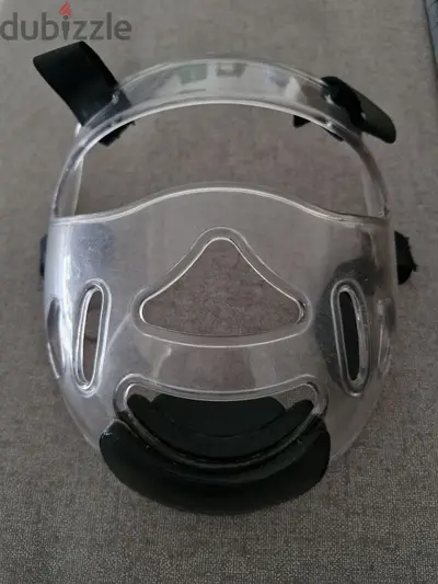 teckwando face shield