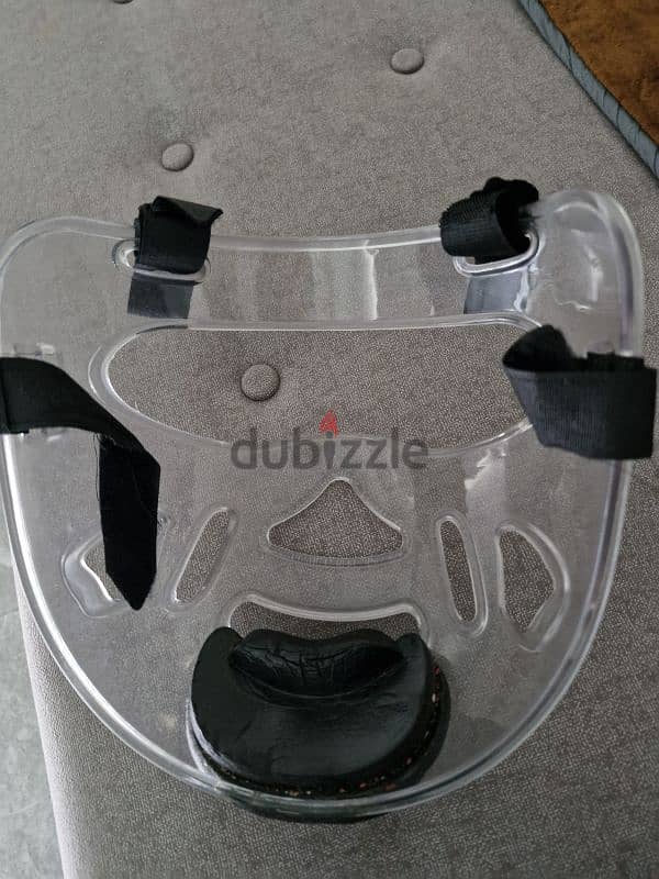 teckwando face shield 1