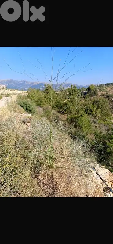 أرض للبيع في مزرعة الشوف land for sale in chouf