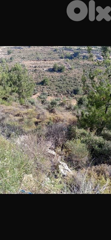 أرض للبيع في مزرعة الشوف land for sale in chouf