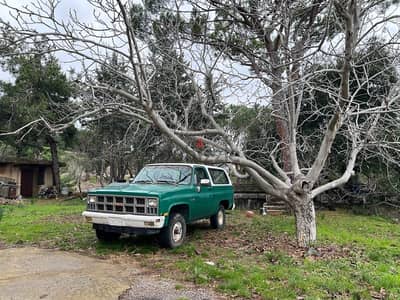 GMC Jimmy 1979