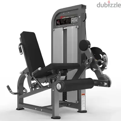 seated leg curl