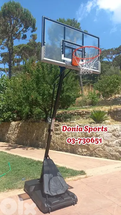 330$ movable basketball hoop (Spalding)