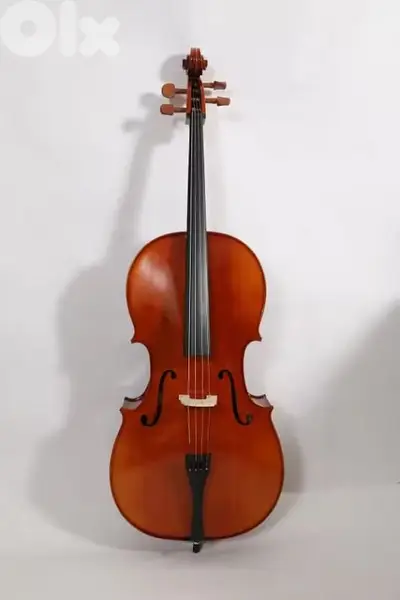Starway Premium quality Cello