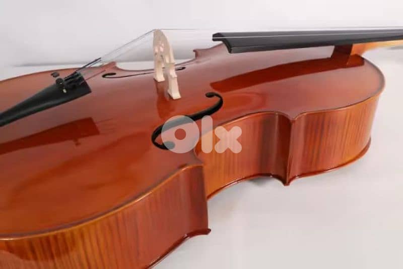 Starway Premium quality Cello 1