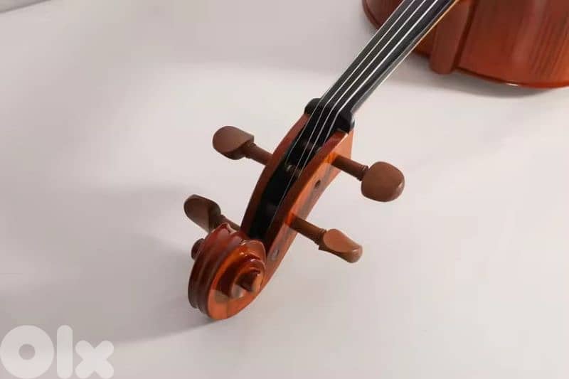 Starway Premium quality Cello 4